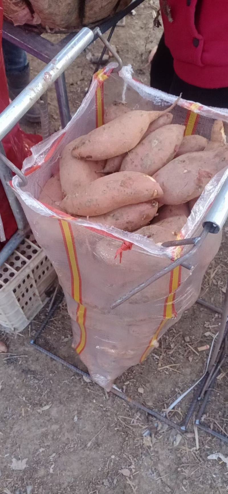 龙九红薯精品电商货
