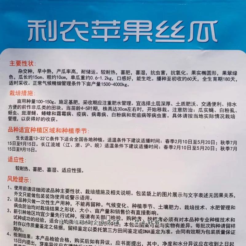 能生吃，苹果丝瓜种子口感好高产抗虫害特色丝瓜种籽抗氧化