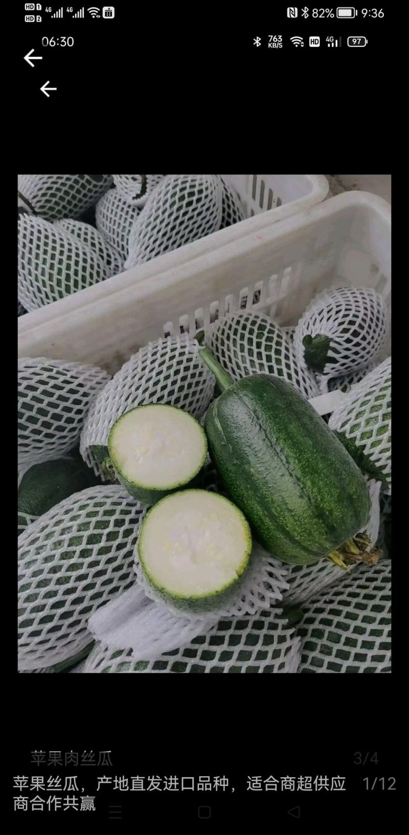 能生吃，苹果丝瓜种子口感好高产抗虫害特色丝瓜种籽抗氧化