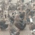 江西麻鸭便宜大卖鸭子物美价廉