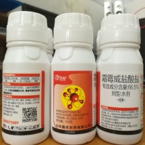 66.5%霜霉威盐酸盐效果好100克x50瓶/箱
