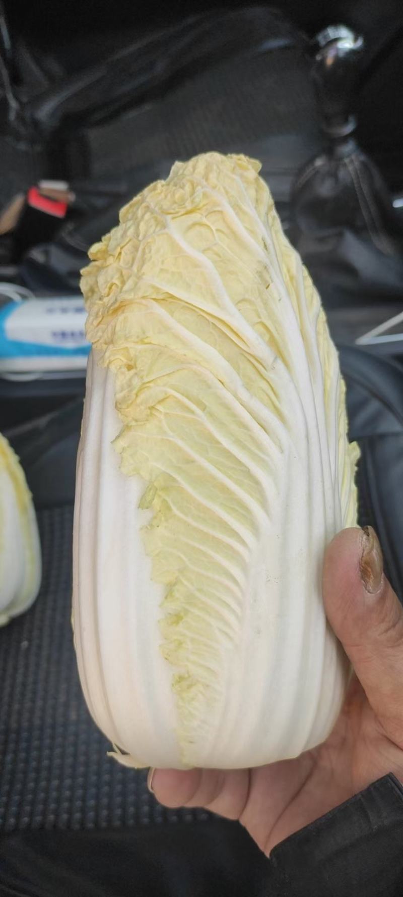 【推荐】娃娃菜，精品包装，大娃纸包，小娃三颗，市场电商