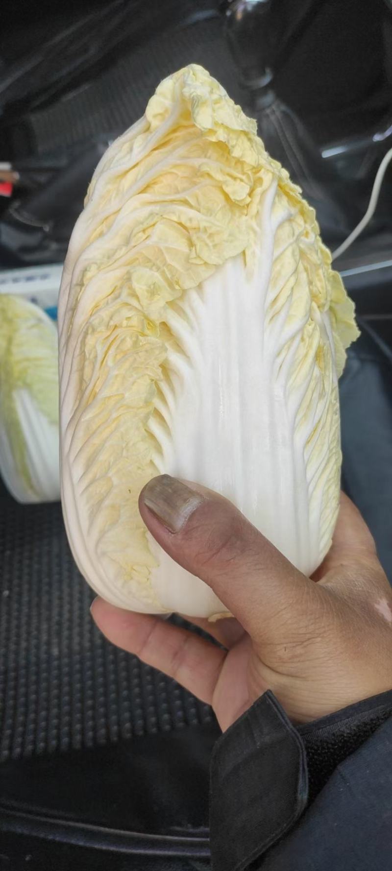 【推荐】娃娃菜，精品包装，大娃纸包，小娃三颗，市场电商