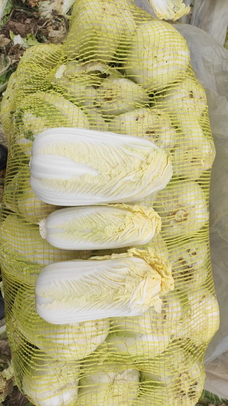 【推荐】娃娃菜，精品包装，大娃纸包，小娃三颗，市场电商