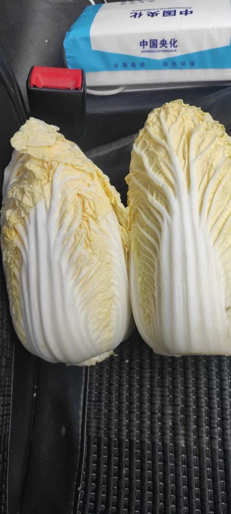 【推荐】娃娃菜，精品包装，大娃纸包，小娃三颗，市场电商
