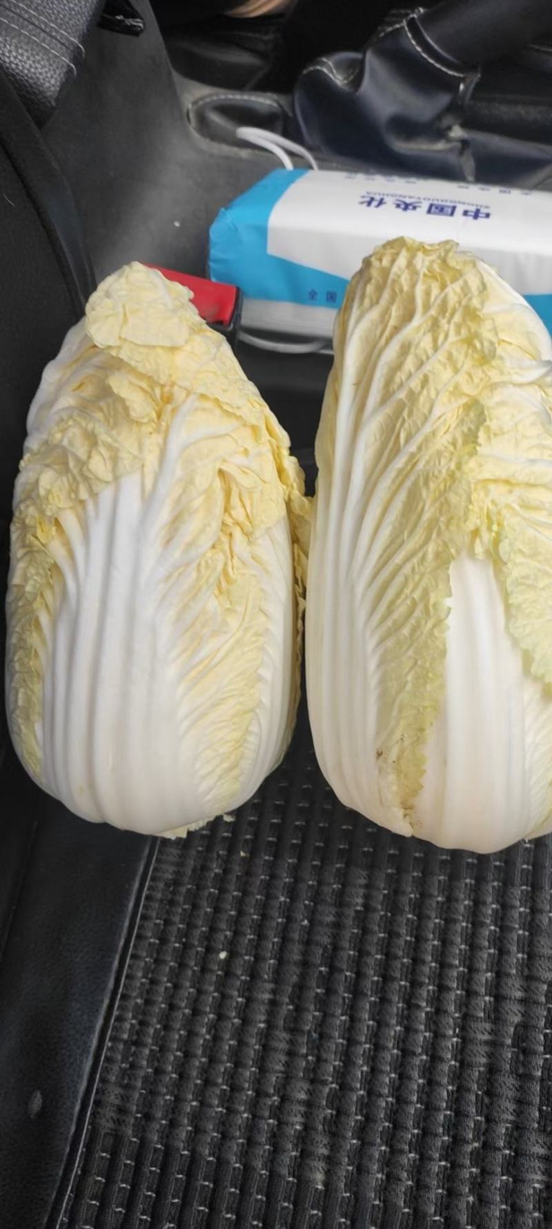 【推荐】娃娃菜，精品包装，大娃纸包，小娃三颗，市场电商