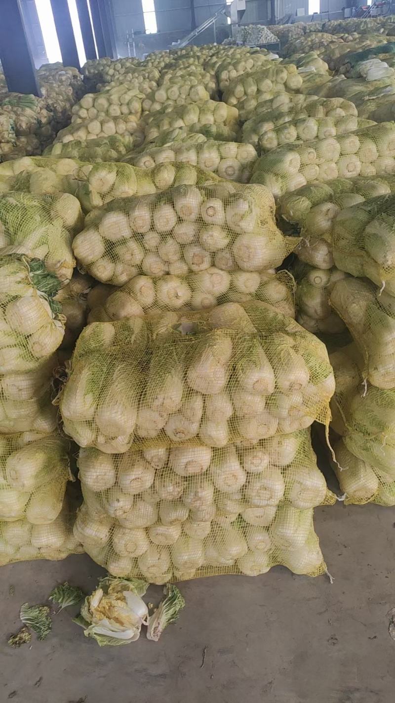 【推荐】娃娃菜，精品包装，大娃纸包，小娃三颗，市场电商