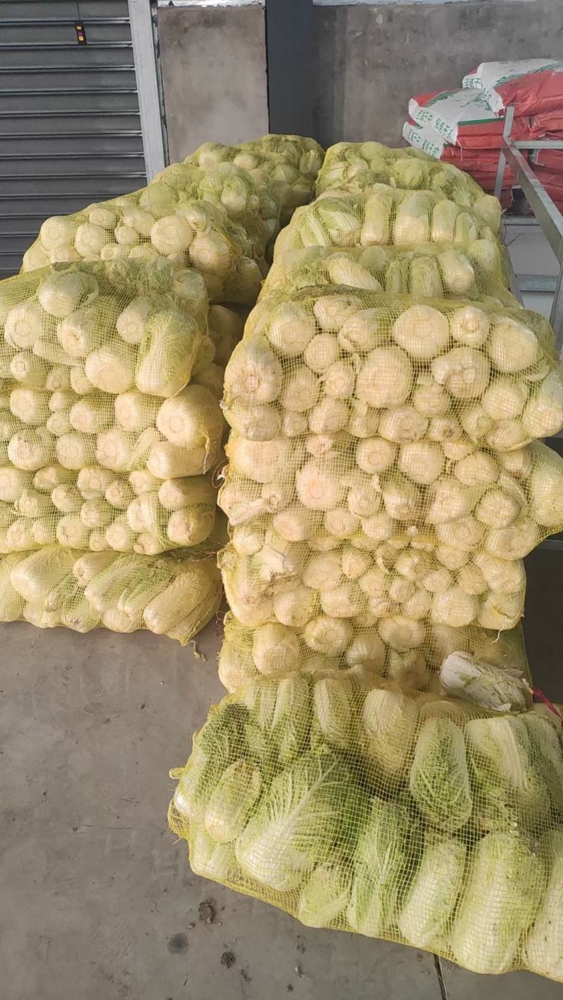 【推荐】娃娃菜，精品包装，大娃纸包，小娃三颗，市场电商