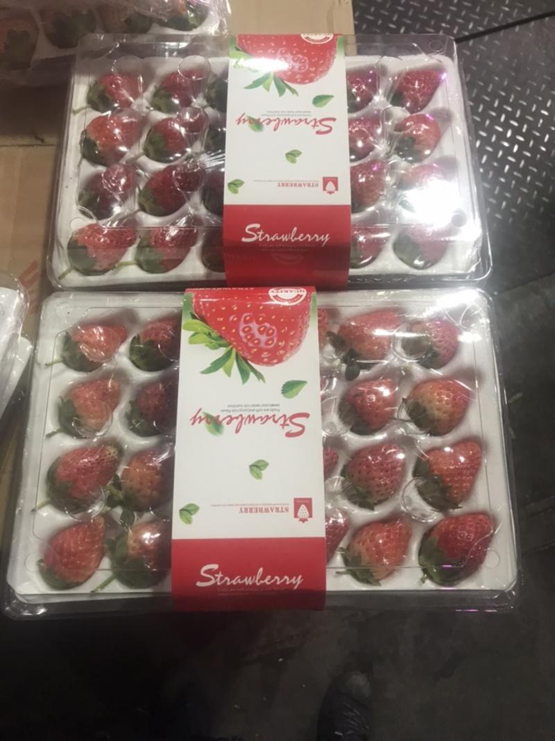巧克力草莓，特卖
