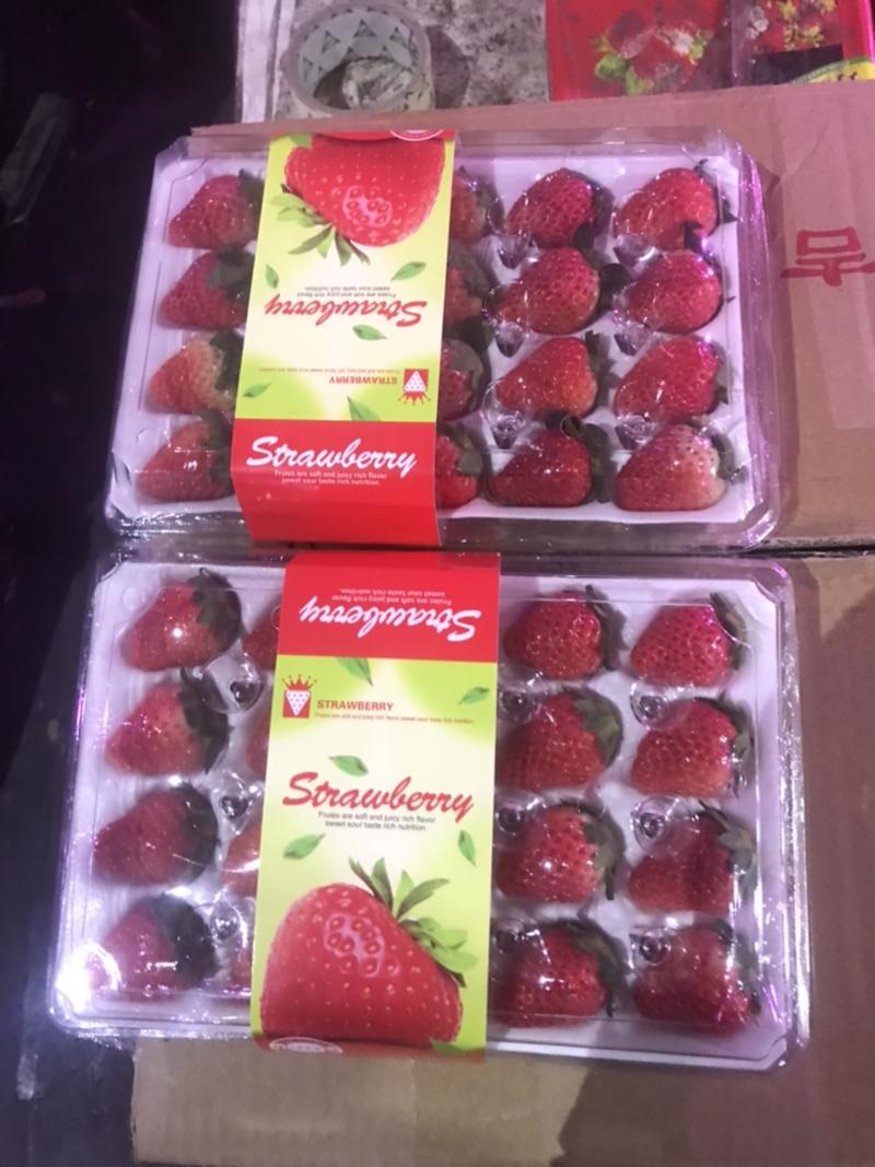 巧克力草莓，特卖