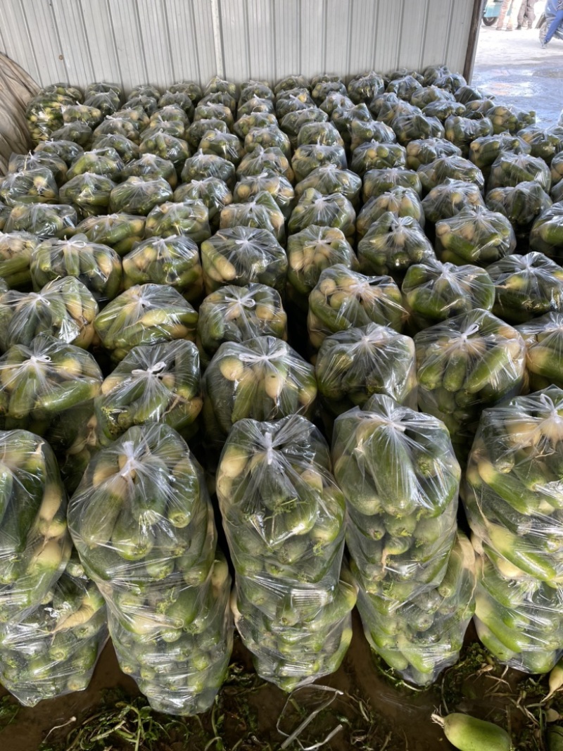 需要的朋友可以联系我
