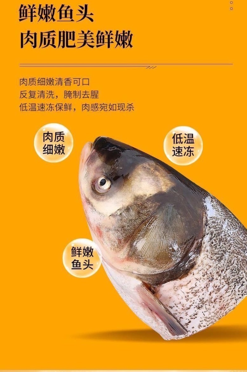 大鱼头鲢鱼头胖头鱼现杀冷冻白鲢鱼头批发剁椒鱼头红烧清蒸