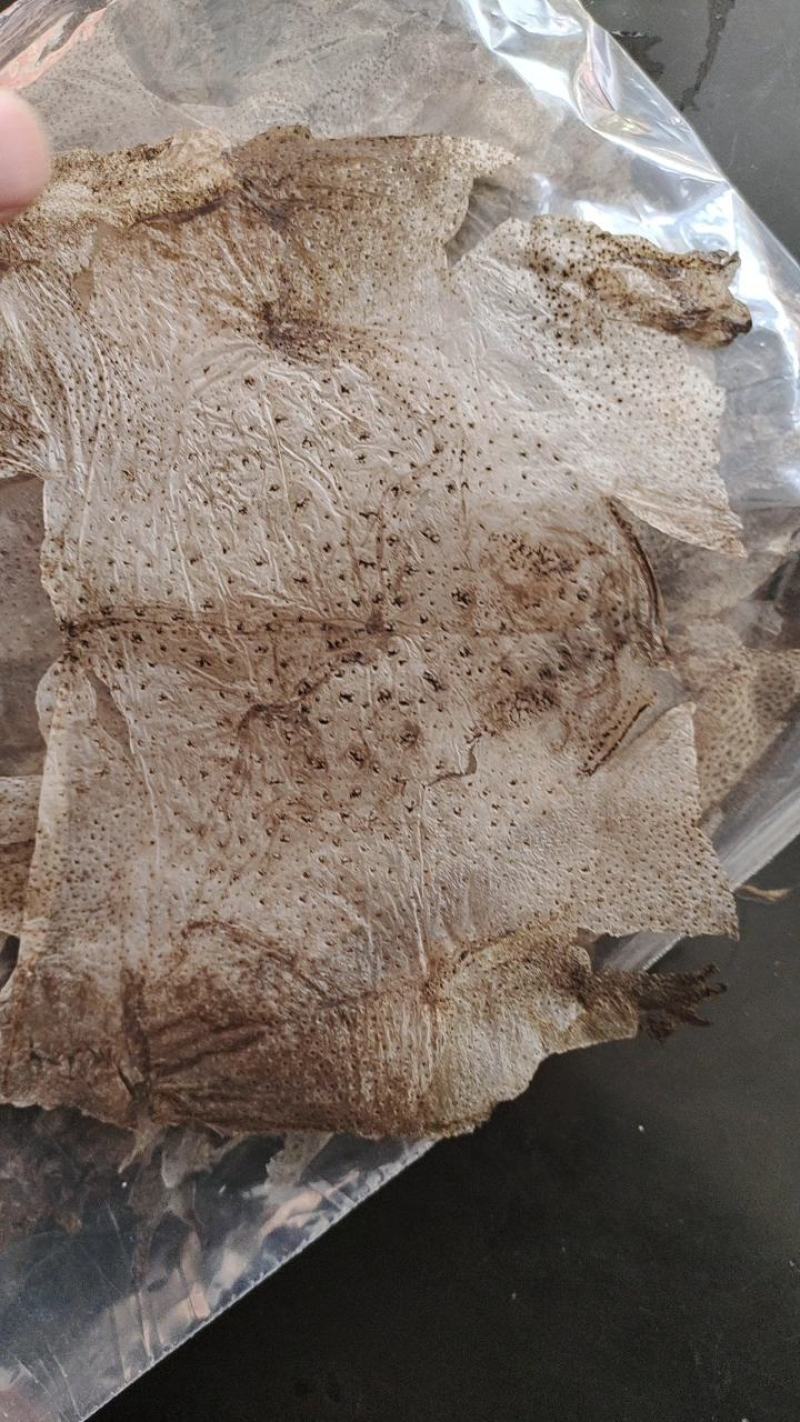 精品蟾衣欢迎采购量大从优
