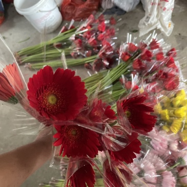 夫郎花质量很好