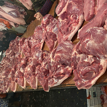 大量批发鲜一级肉，前夹后脚肉，排骨，五花肉，肘子