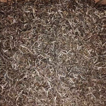 帕沙茶