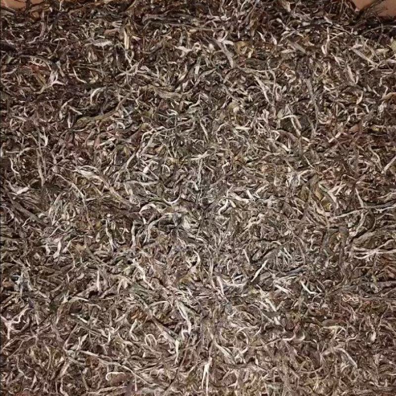 帕沙茶
