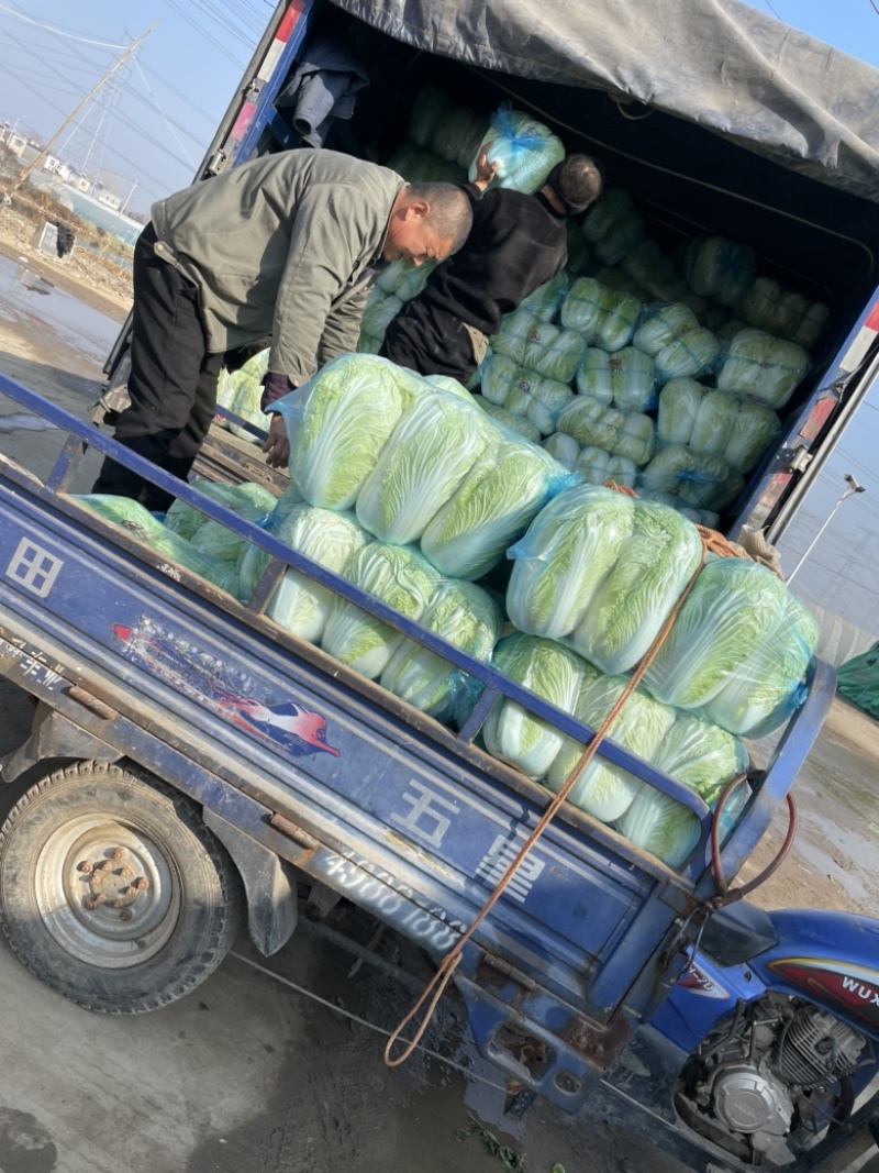 需要的朋友可以联系我
