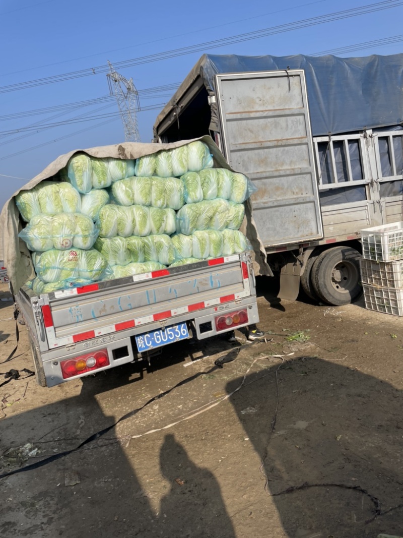 需要的朋友可以联系我