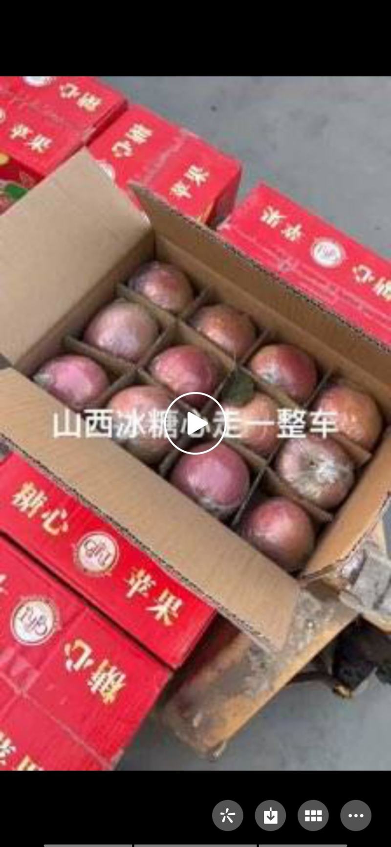 晋州冷库大量有货全部各地的货都有