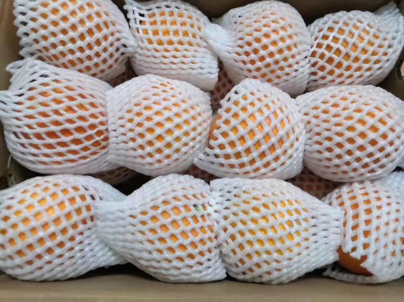 展示不同形态的血橙提取物成品,如粉末、液体、胶囊等 血橙提取物成品展示