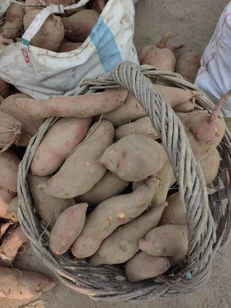 红皮红心的西瓜红，沙土地，口感甜，面积大，质量有保证