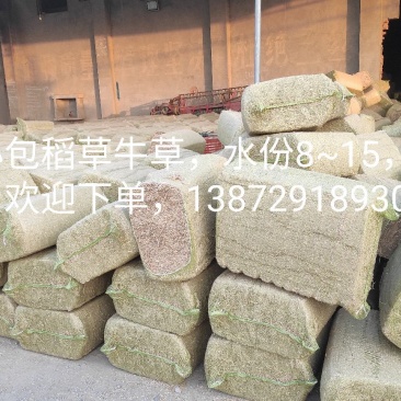 稻草，揉丝稻草牛草小包，牛儿的粗饲料，质量非常好