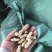 花生天府三，冀油四，鲁花三，小日本，高油酸