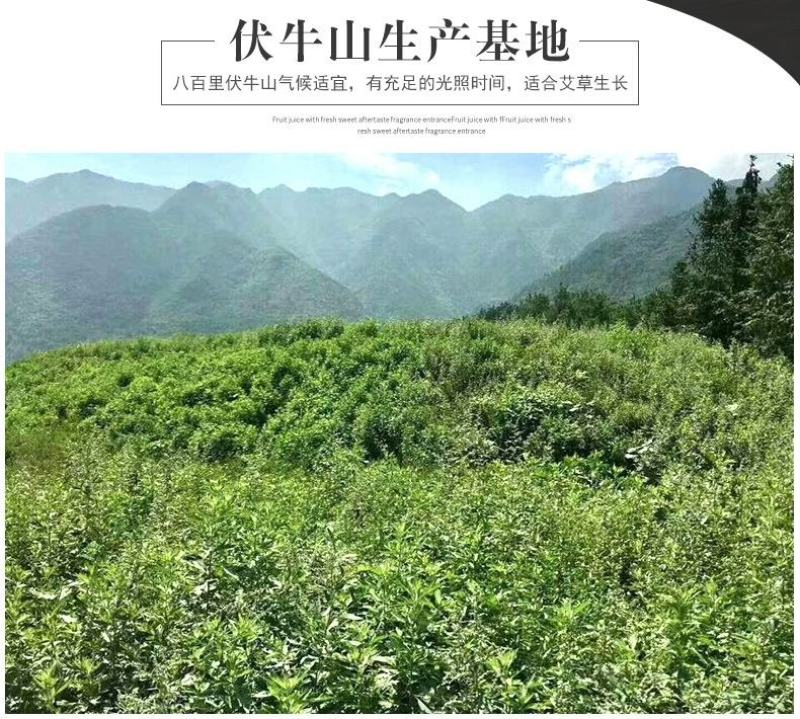 天然野生陈年艾柱艾叶段艾绒段温和灸艾条灸馆专用手工优质