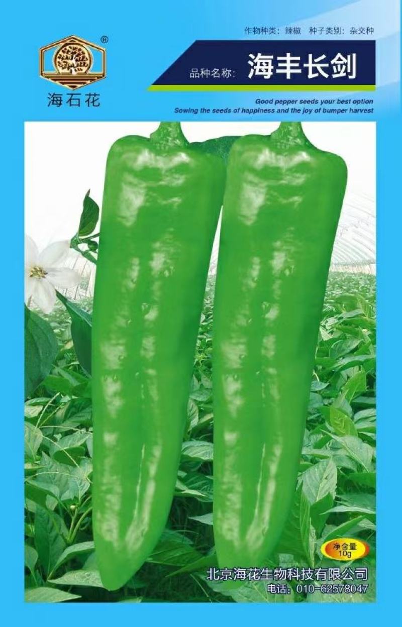 海丰大牛角椒品种果大顺直产量高抗病