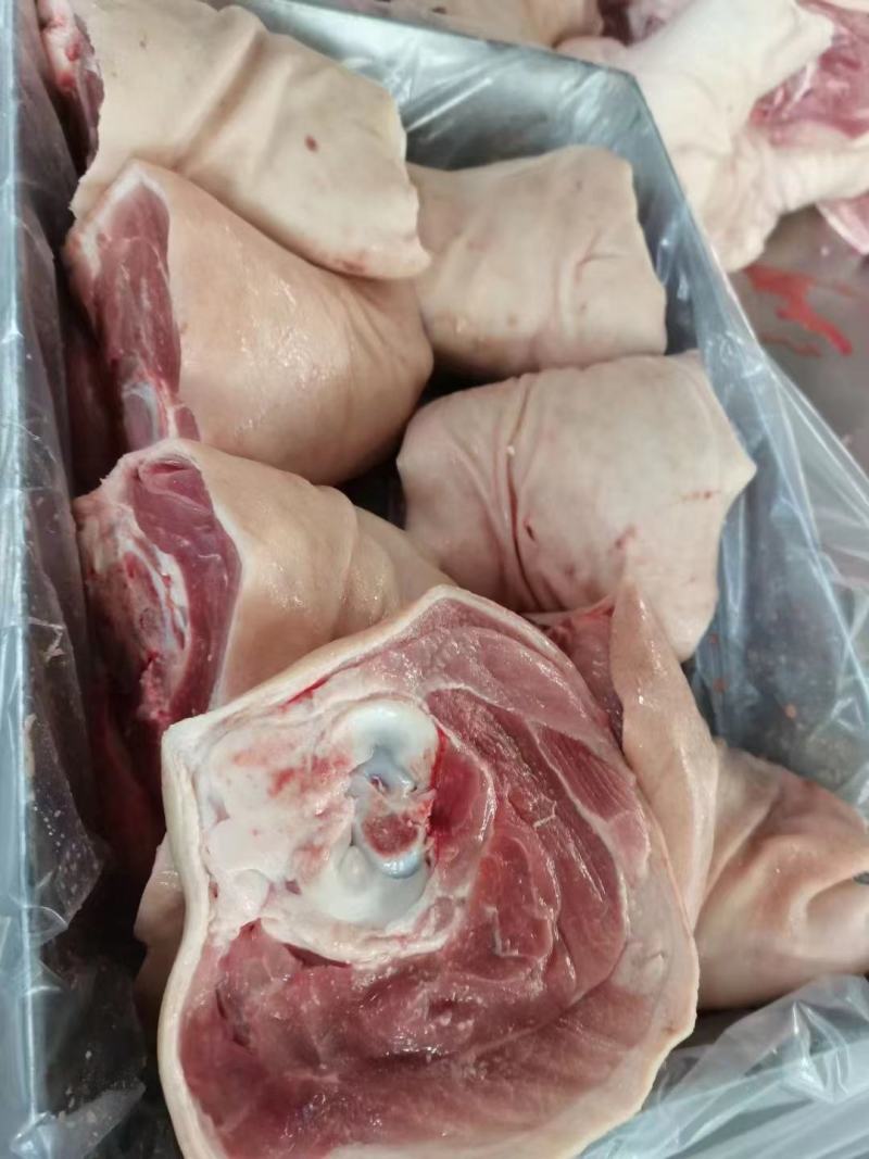 大肘子，7-8个头左右都有货，虎皮肘子，肘子饭食材，
