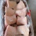 大肘子，7-8个头左右都有货，虎皮肘子，肘子饭食材，