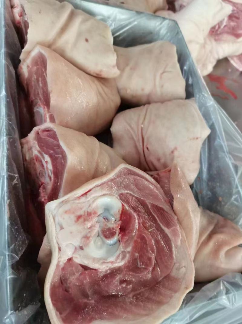 大肘子，7-8个头左右都有货，虎皮肘子，肘子饭食材，