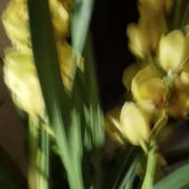 货