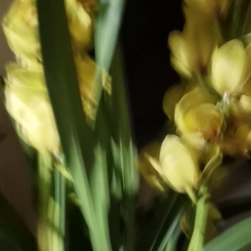 货