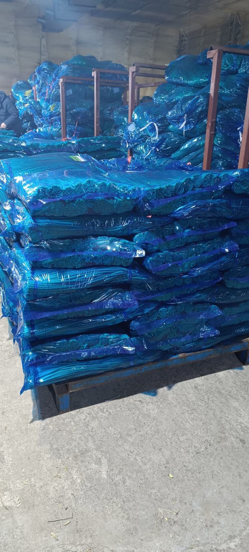 山东金乡蒜苔精品蒜薹新蒜苔产地直发冷库存储量大从优