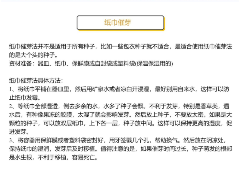 蓝刺头花种籽子多年生宿根花卉种子冬季耐寒室内阳台庭院盆栽