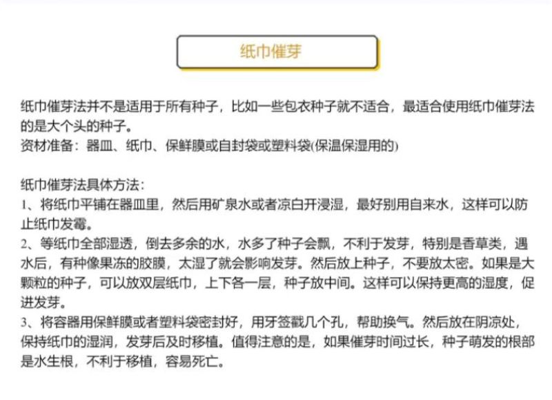 蓝刺头花种籽子多年生宿根花卉种子冬季耐寒室内阳台庭院盆栽