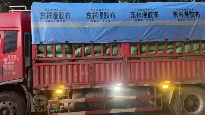 大量无筋豆白豆