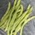 大量无筋豆白豆