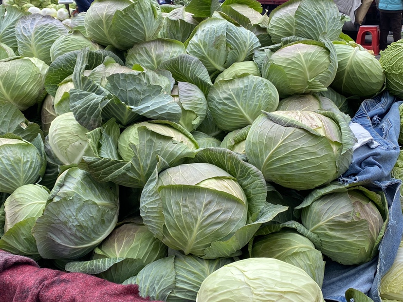 包菜菜品展示