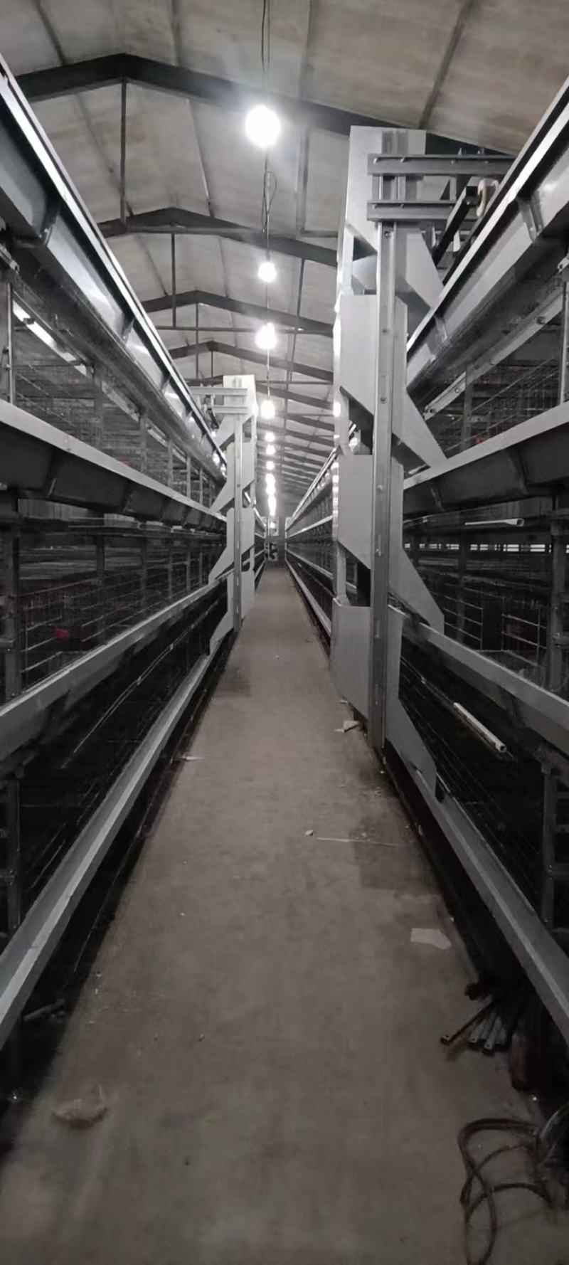 层叠蛋鸡笼养鸡设备支持定制
