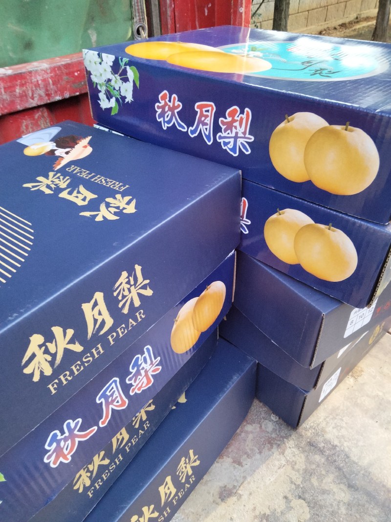 [热卖]山东青岛秋月梨梨产地直发专业代办