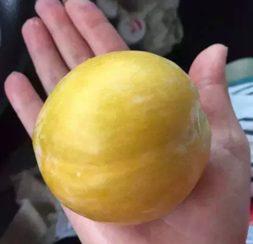 李子果实膨大对比图