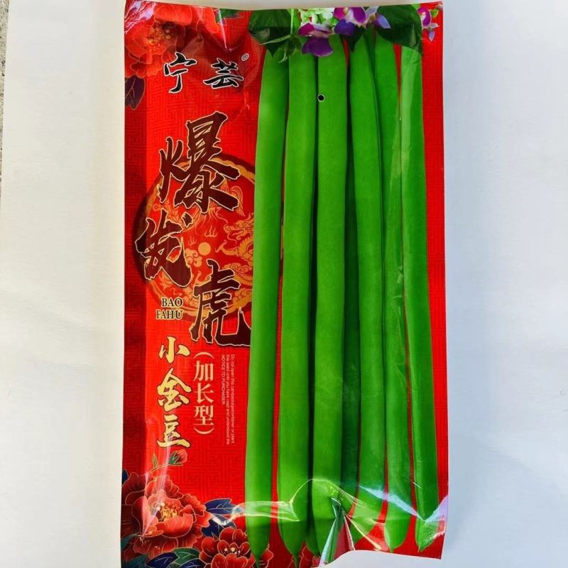加长小金豆种子抗寒耐热芸豆四季豆种子春秋菜豆种子圆形荚豆