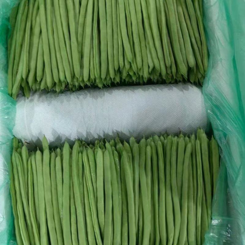 加长小金豆种子抗寒耐热芸豆四季豆种子春秋菜豆种子圆形荚豆