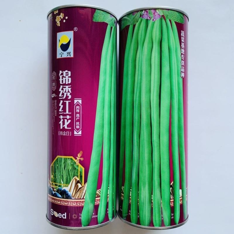 无筋豆角种籽锦绣红花小金豆肉厚高产抗病大田中早熟四季豆种