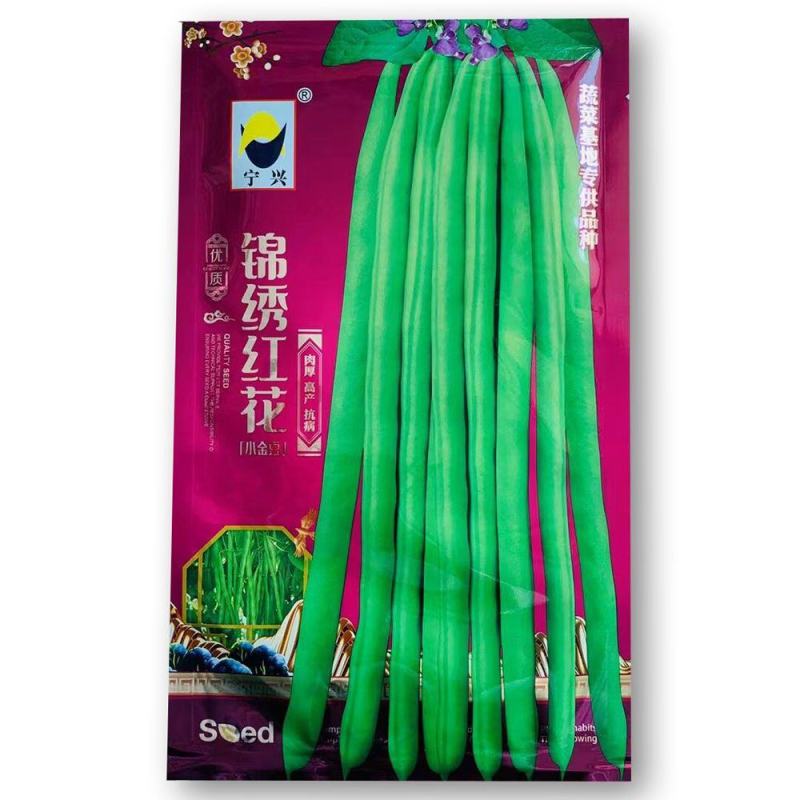 无筋豆角种籽锦绣红花小金豆肉厚高产抗病大田中早熟四季豆种