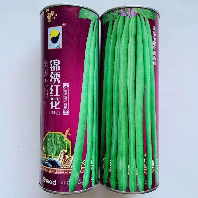 无筋豆角种籽锦绣红花小金豆肉厚高产抗病大田中早熟四季豆种