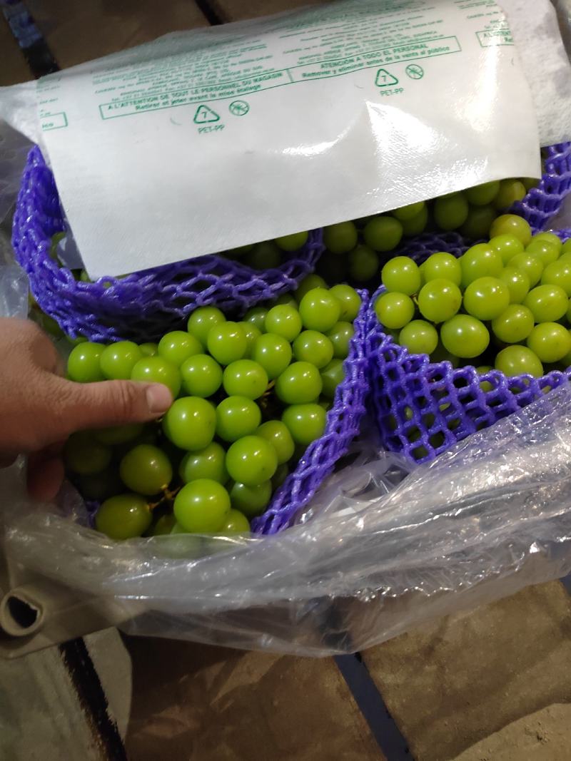 阳光玫瑰礼品盒电商果，价格美丽海量货源，保证质量欢迎致电